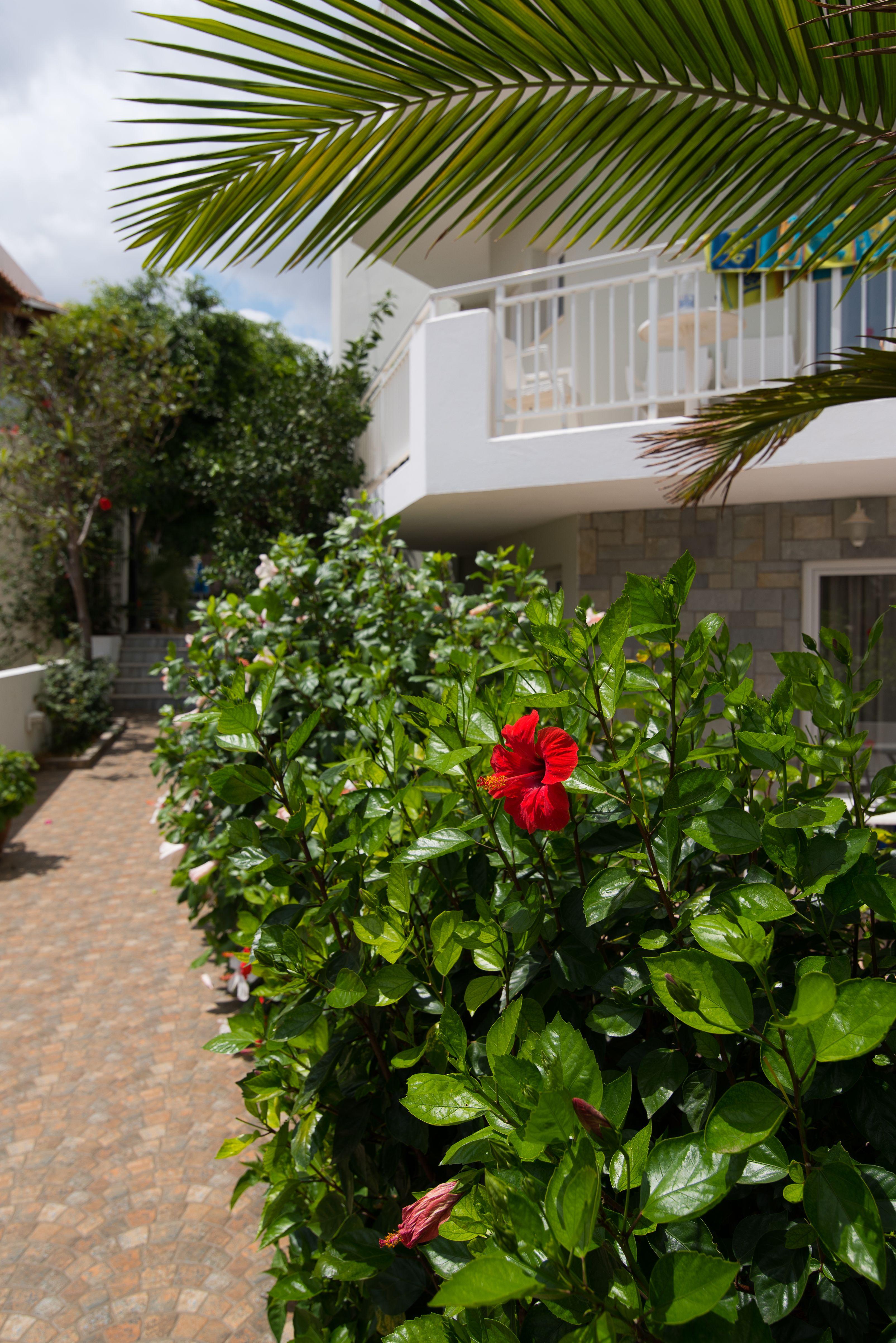 Melissa Apartments, Studios & Suites Малиа Экстерьер фото